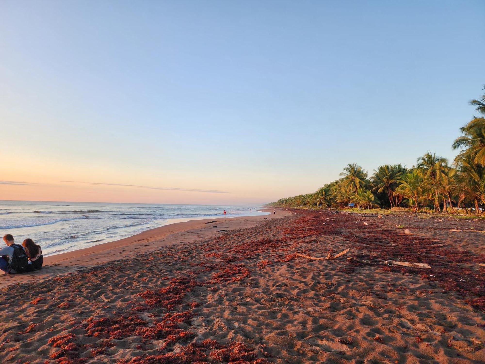 Tortuguero7 Lake View Exterior photo